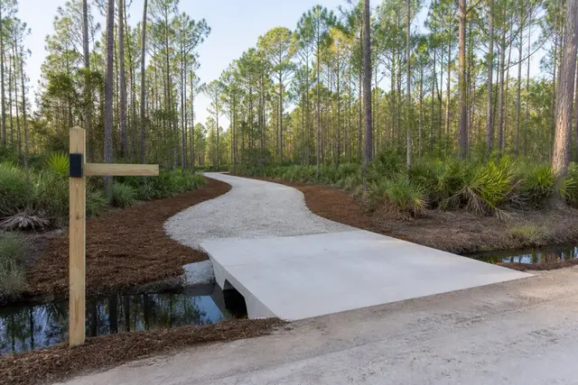 Fresh shell-rock driveway curving into wooded acreage past a canal culvert